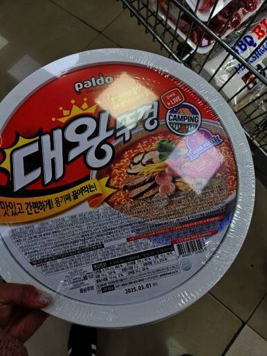 포쉬카라반