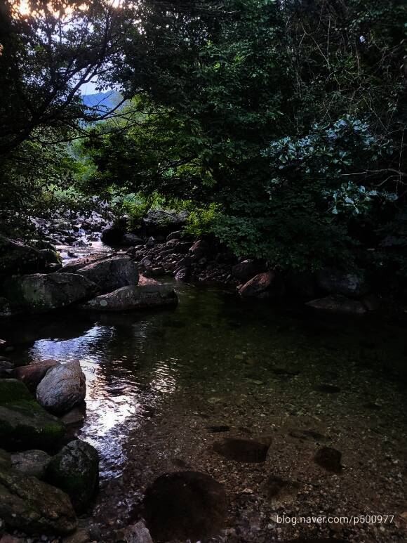 영주시 소백산역 캠핑장