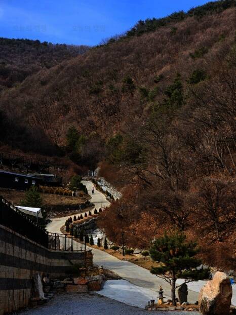 단양 도담캠핑장