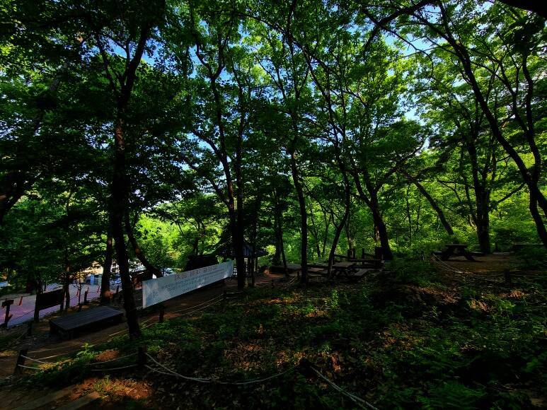 바라산자연휴양림 야영장