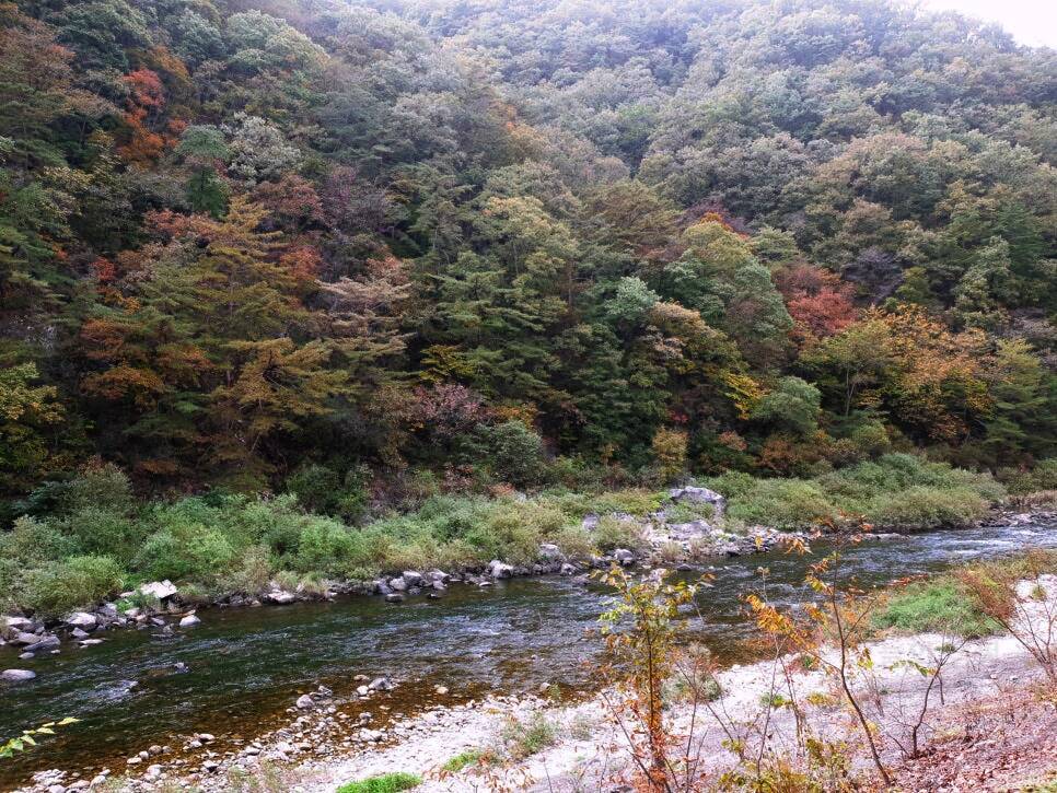 리버힐즈 캠핑장