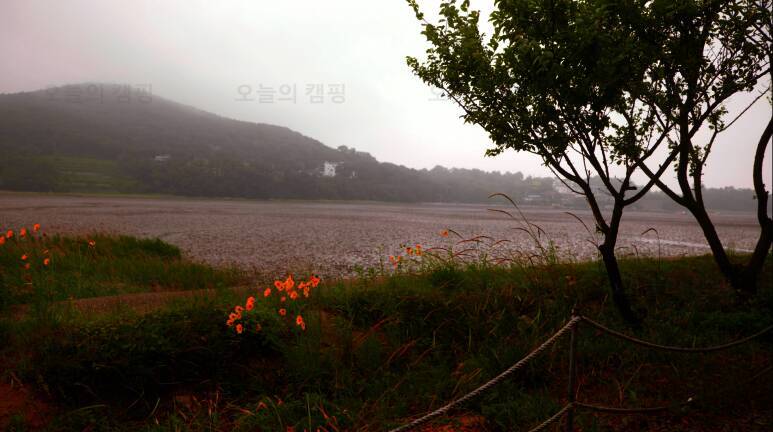 강화도 크로바 캠핑장