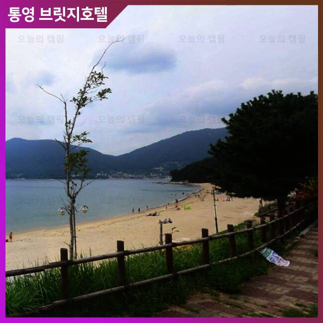 양지마을야영장