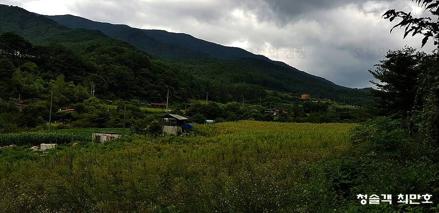 주막거리캠프