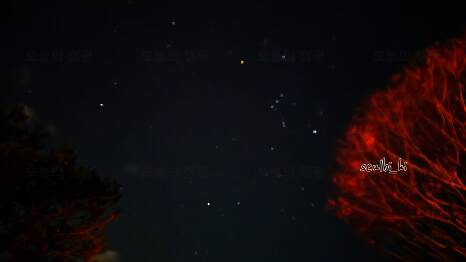 노아오토캠핑장