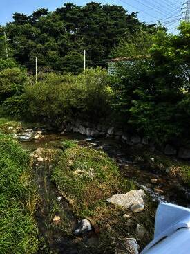 바나나 캠핑장