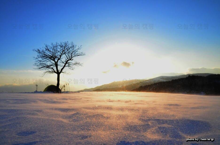 스토리숲(story숲)