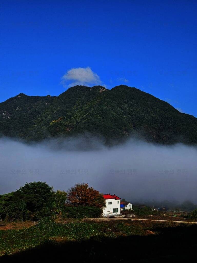 옥천1382