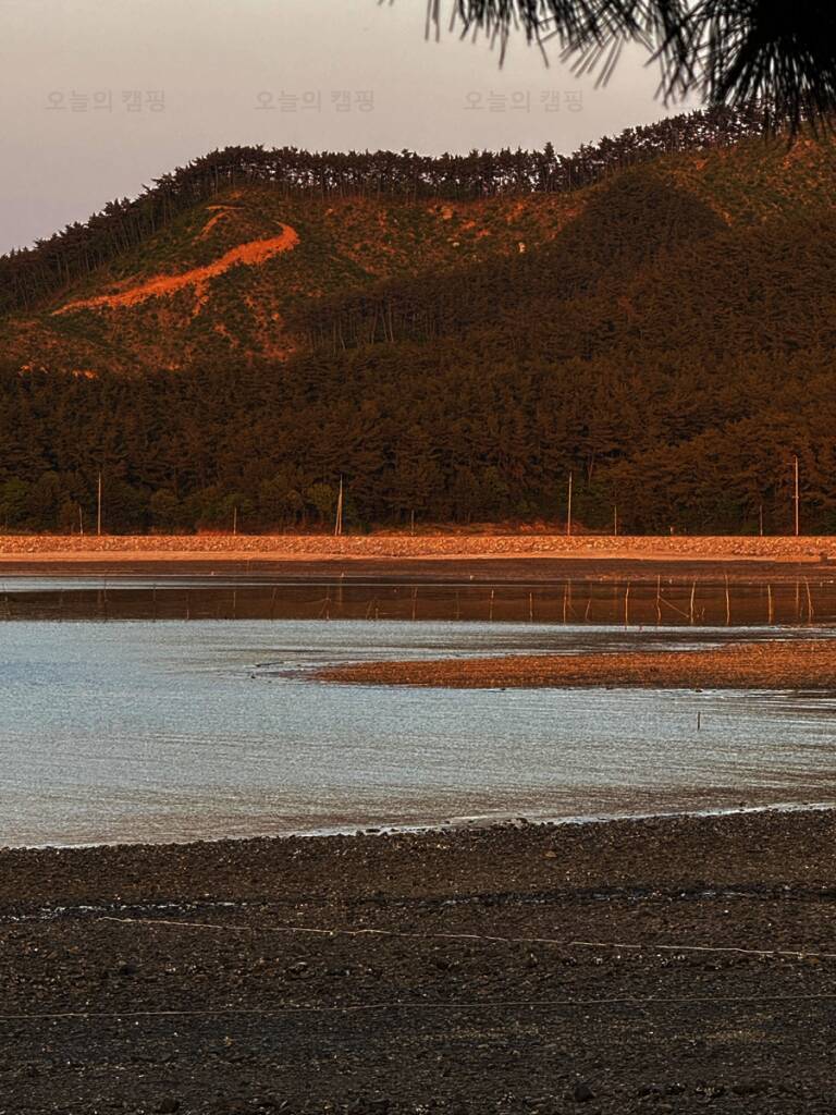 서산벌천포캠핑장