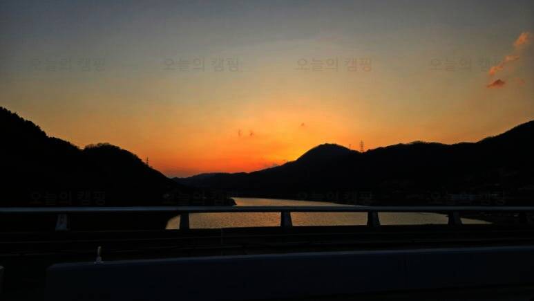 오아시스정글