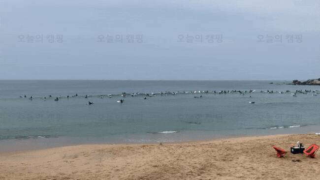 동산포 캠핑장