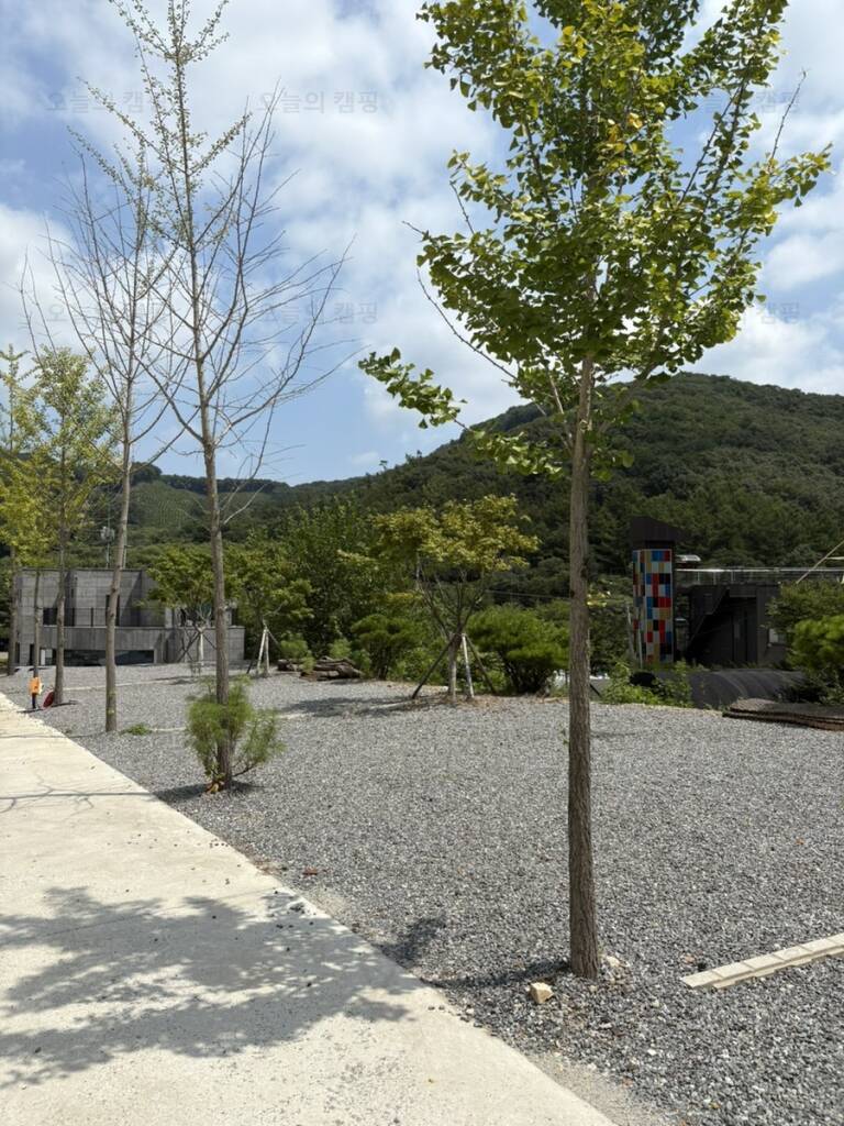 맑을 청