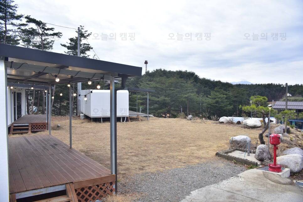 캠프 애니말