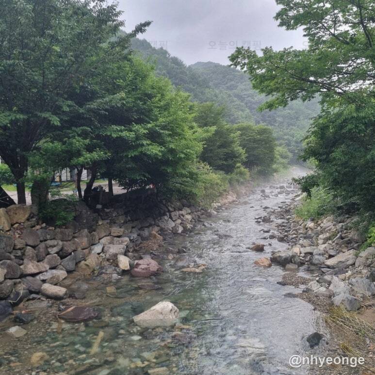 담터 금학캠핑장