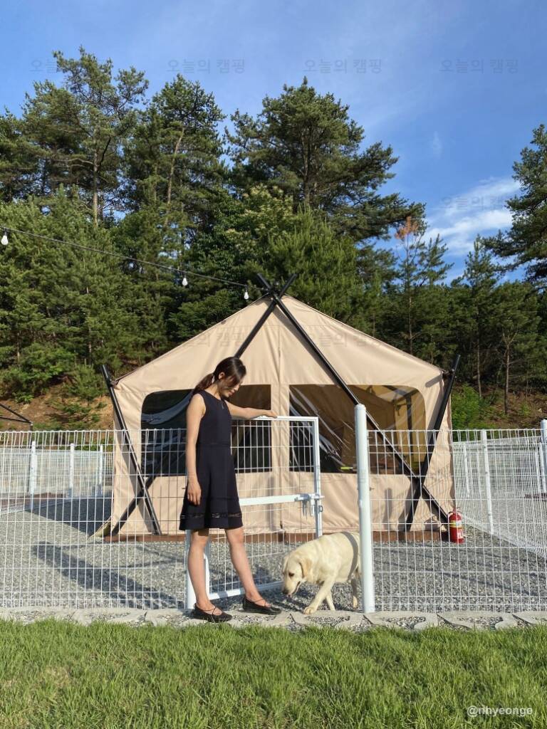 멍글멍글 펫 글램핑(주)
